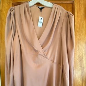 Champagne Pink long sleeve blouse